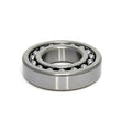 Rodamiento Autoalineante MKW 1205 | 25x52x15mm Bola Oscilante TANZI RO11 Agrícola