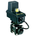 Electroválvula de corte Teejet 344BEC rosca 3/4" o 1" - vista 3