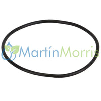 Oring MLS220G1 para vaso de filtro BANJO modelo MLS222
