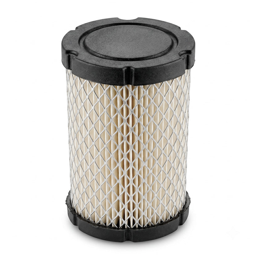 Filtro de Aire Oregon  Briggs & Stratton 591334 / 594201 / 796031