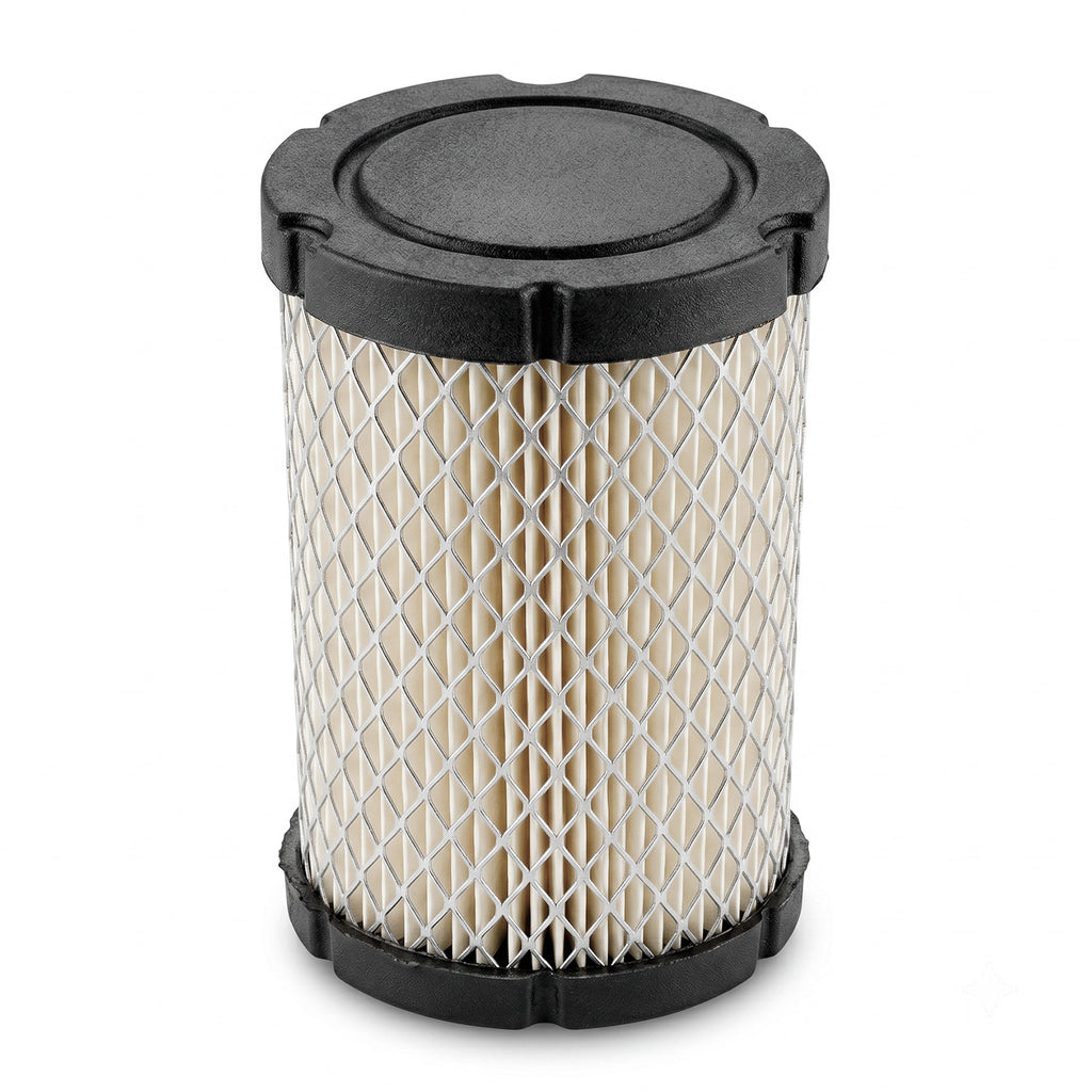Filtro de Aire Oregon  Briggs & Stratton 591334 / 594201 / 796031