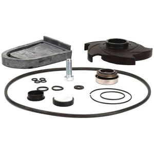 Kit Reparación Bomba Banjo Poly 2" - Material EPDM