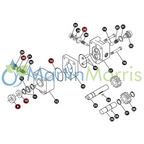 Kit de reparación motor hidráulico ace pumps serie 200