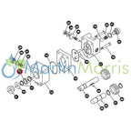 Bolillero para motor hidráulico Ace pumps serie 200