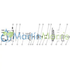 Bomba De Carga o Trasvase Banjo Rosca 2 Pulgadas Para motor Hidraulico