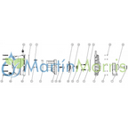 Bomba De Carga o Trasvase Banjo Rosca 2 Pulgadas Para motor Hidraulico