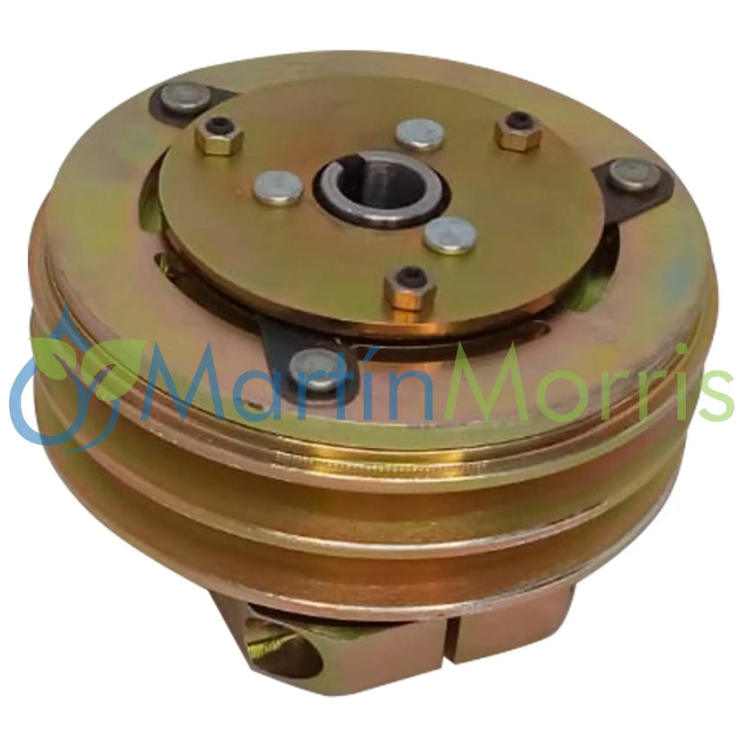 Electroiman Polea Media Doble para HYPRO 92022 o 92022-R