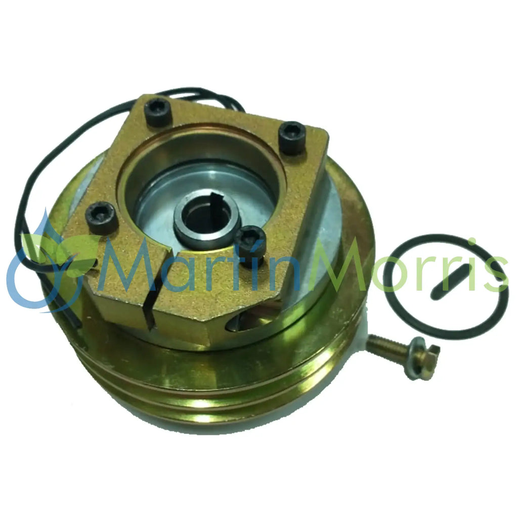 Electroiman Polea Media Doble para HYPRO 92022 o 92022-R