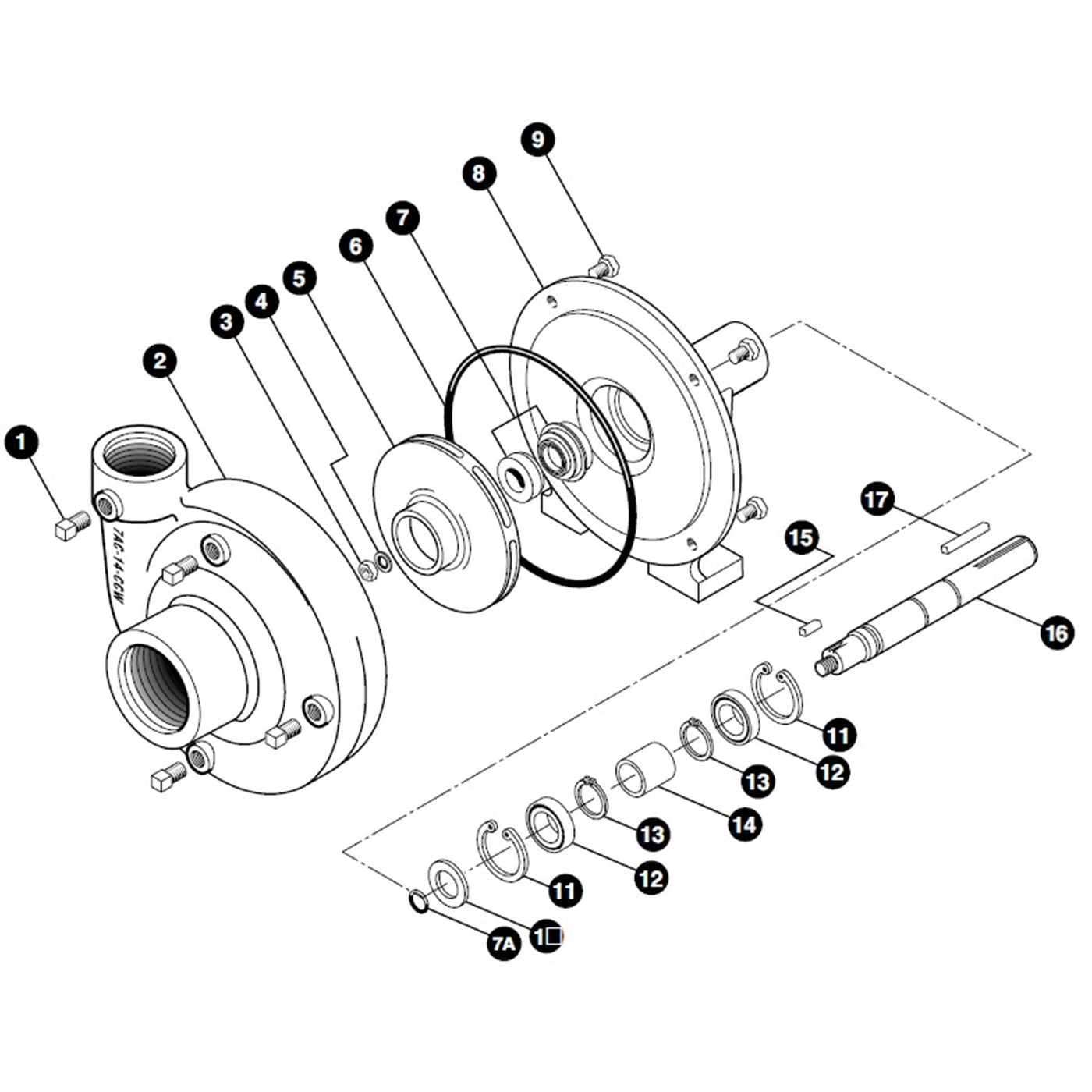 Diagrama de despiece Bomba ACE 200 — Rotación CCW