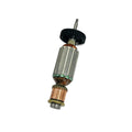 Rotor / Bobina Milwaukee 16040050 | Amoladora Angular 6117-59 | Repuesto Original