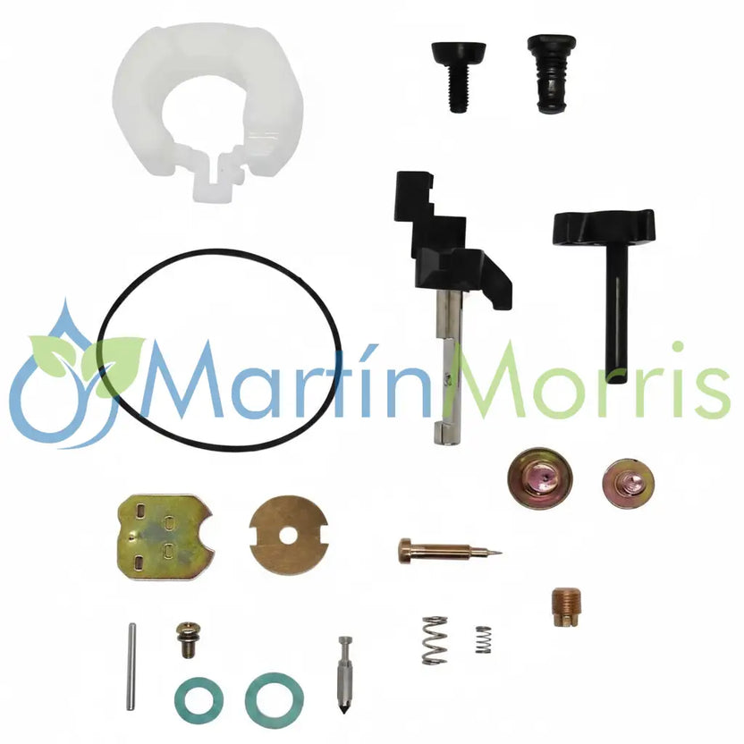 Kit Reparación Completo Carburador para Motor Honda GX160 Repuestos de Motor