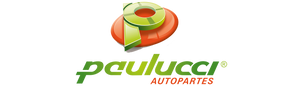 paulucci autopartes
