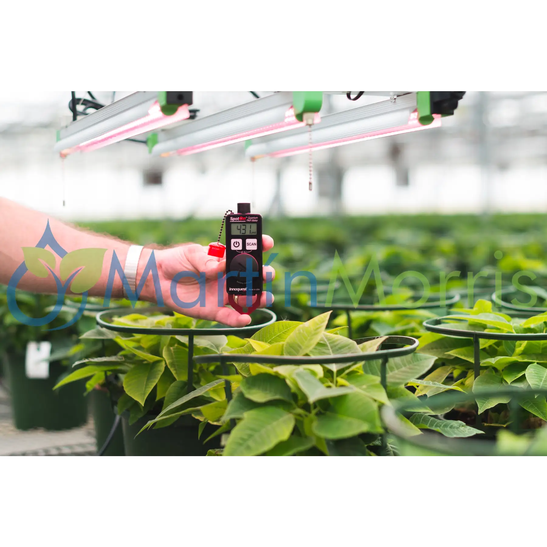 Medidor de luz spoton® quantum