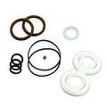Kit de Reparación TeeJet AB344AEKIT | Válvulas de Bola Serie 344