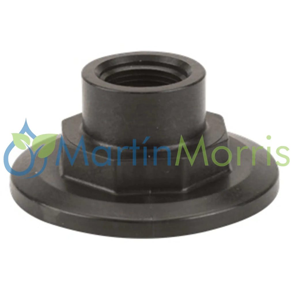 Tapón de brida 220 banjo con salida roscada h 3/4