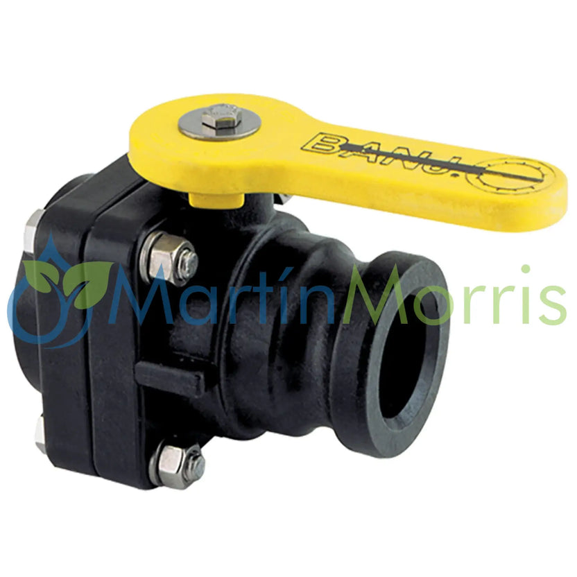 Válvula banjo de bola rosca hembra 2 pulg y adaptador macho de 2 pulgadas