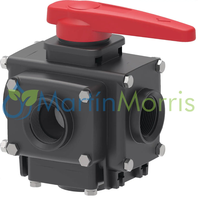 Valvula Manual de 5 Vias Bocha SS316 Roscas Hembras 2’’ BSP